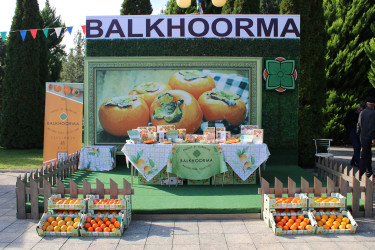 Balakən rayonu növbəti Xurma festivalına ev sahibliyi edib