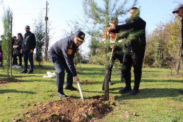 Balakəndə  Zəfər Günü ilə əlaqədar ağacəkmə aksiyası keçirilib