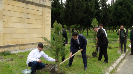 Balakəndə Ulu Öndər Heydər Əliyevin anadan  olmasının 101-ci ildönümü qeyd olunub