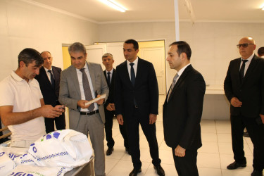 Balakən Rayon İcra Hakimiyyətinin başçısı Natiq Ağayev yeni yaradılacaq intensiv bağçılıqla tanış olub