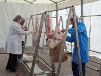 Qurban bayramı ilə əlaqədar Balakəndə heyvan kəsimi məntəqəsi fəaliyyətə başlayıb