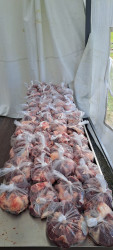 Qurban bayramı ilə əlaqədar Balakəndə heyvan kəsimi məntəqəsi fəaliyyətə başlayıb