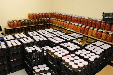 Balakən Rayon İcra Hakimiyyətinin başçısı Natiq Ağayev yeni yaradılacaq intensiv bağçılıqla tanış olub