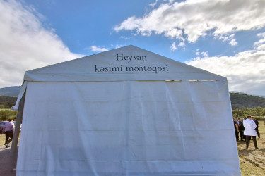Qurban bayramı ilə əlaqədar Balakəndə heyvan kəsimi məntəqəsi fəaliyyətə başlayıb
