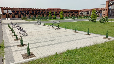 Balakən şəhərində "Yaşıl dünya naminə həmrəylik ili" çərçivəsində  kiçik park salınıb