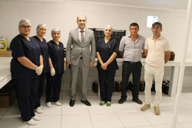 Balakən Rayon İcra Hakimiyyətinin başçısı Natiq Ağayev yeni yaradılacaq intensiv bağçılıqla tanış olub