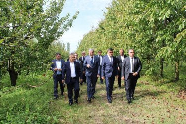 Aqroturizmin inkişafı istiqamətində görülən işlər müzakirə olunub
