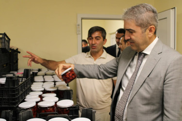 Balakən Rayon İcra Hakimiyyətinin başçısı Natiq Ağayev yeni yaradılacaq intensiv bağçılıqla tanış olub