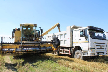 Balakən Rayon İcra Hakimiyyətinin başçısı Natiq Ağayev təsərrüfatlara baxış keçirib