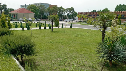 Balakən şəhərində "Yaşıl dünya naminə həmrəylik ili" çərçivəsində  kiçik park salınıb