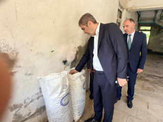 Balakən rayonunda yaş barama tədarükünə başlanılıb