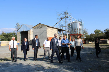 Balakən Rayon İcra Hakimiyyətinin başçısı Natiq Ağayev Qazma kəndində yerləşən, sahibkar Məmmədov Qüdrət Həmid oğluna məxsus qarğıdalı qəbulu məntəqəsinə baxış keçirib, görülən işlərlə tanış olub.