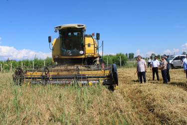 Balakən Rayon İcra Hakimiyyətinin başçısı Natiq Ağayev təsərrüfatlara baxış keçirib