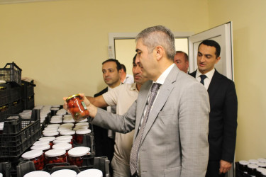Balakən Rayon İcra Hakimiyyətinin başçısı Natiq Ağayev yeni yaradılacaq intensiv bağçılıqla tanış olub