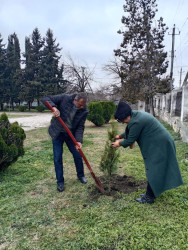 Balakəndə Xocalı soyqırımı qurbanlarının xatirəsi anılıb