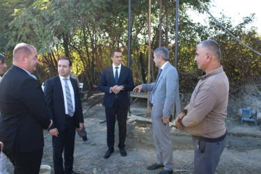 Balakən Rayon İcra Hakimiyyətinin başçısı Natiq Ağayev yeni yaradılacaq intensiv bağçılıqla tanış olub