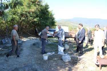 Balakən Rayon İcra Hakimiyyətinin başçısı Natiq Ağayev yeni yaradılacaq intensiv bağçılıqla tanış olub