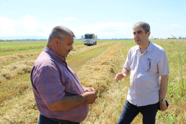 Balakən Rayon İcra Hakimiyyətinin başçısı Natiq Ağayev təsərrüfatlara baxış keçirib