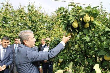 Aqroturizmin inkişafı istiqamətində görülən işlər müzakirə olunub