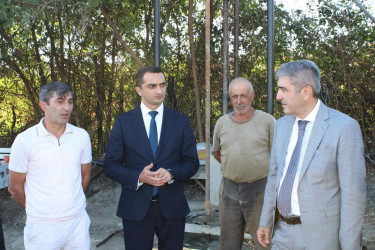 Balakən Rayon İcra Hakimiyyətinin başçısı Natiq Ağayev yeni yaradılacaq intensiv bağçılıqla tanış olub