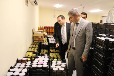 Balakən Rayon İcra Hakimiyyətinin başçısı Natiq Ağayev yeni yaradılacaq intensiv bağçılıqla tanış olub