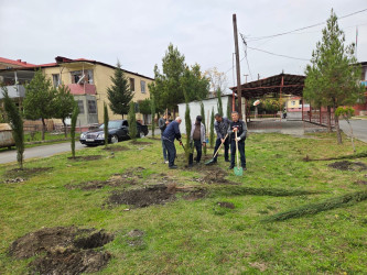 8 noyabr - Zəfər Gününün beşinci ildönümü ərəfəsində ağacəkmə aksiyası keçirilib