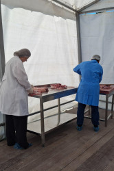 Qurban bayramı ilə əlaqədar Balakəndə heyvan kəsimi məntəqəsi fəaliyyətə başlayıb