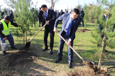 Balakəndə  Zəfər Günü ilə əlaqədar ağacəkmə aksiyası keçirilib