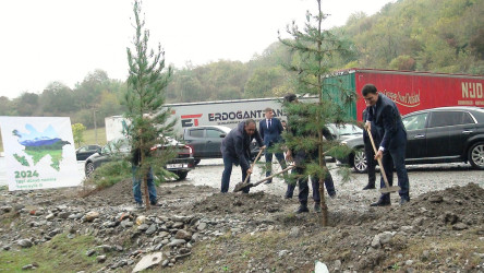 Oktyabrın 17-də Balakəndə "Yaşıl dünya naminə həmrəylik ili" çərçivəsində ağacəkmə aksiyası keçirilib.