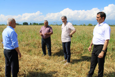 Balakən Rayon İcra Hakimiyyətinin başçısı Natiq Ağayev təsərrüfatlara baxış keçirib