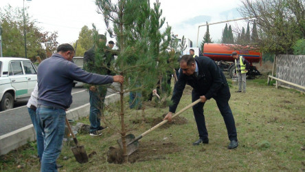 Oktyabrın 17-də Balakəndə "Yaşıl dünya naminə həmrəylik ili" çərçivəsində ağacəkmə aksiyası keçirilib.