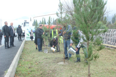 Oktyabrın 17-də Balakəndə "Yaşıl dünya naminə həmrəylik ili" çərçivəsində ağacəkmə aksiyası keçirilib.