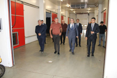 İcra başçısı “Balmeyvə” bağçılıq təsərrüfatı ilə tanış olub