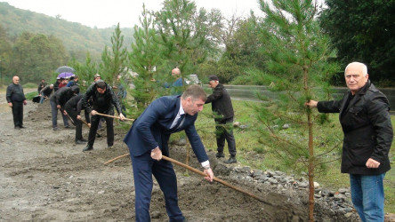 Oktyabrın 17-də Balakəndə "Yaşıl dünya naminə həmrəylik ili" çərçivəsində ağacəkmə aksiyası keçirilib.