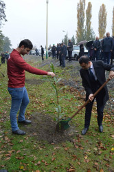 Yeni Azərbaycan Partiyasının (YAP) təsis edilməsinin 30 illiyinə həsr olunan ağacəkmə aksiyası keçirilib